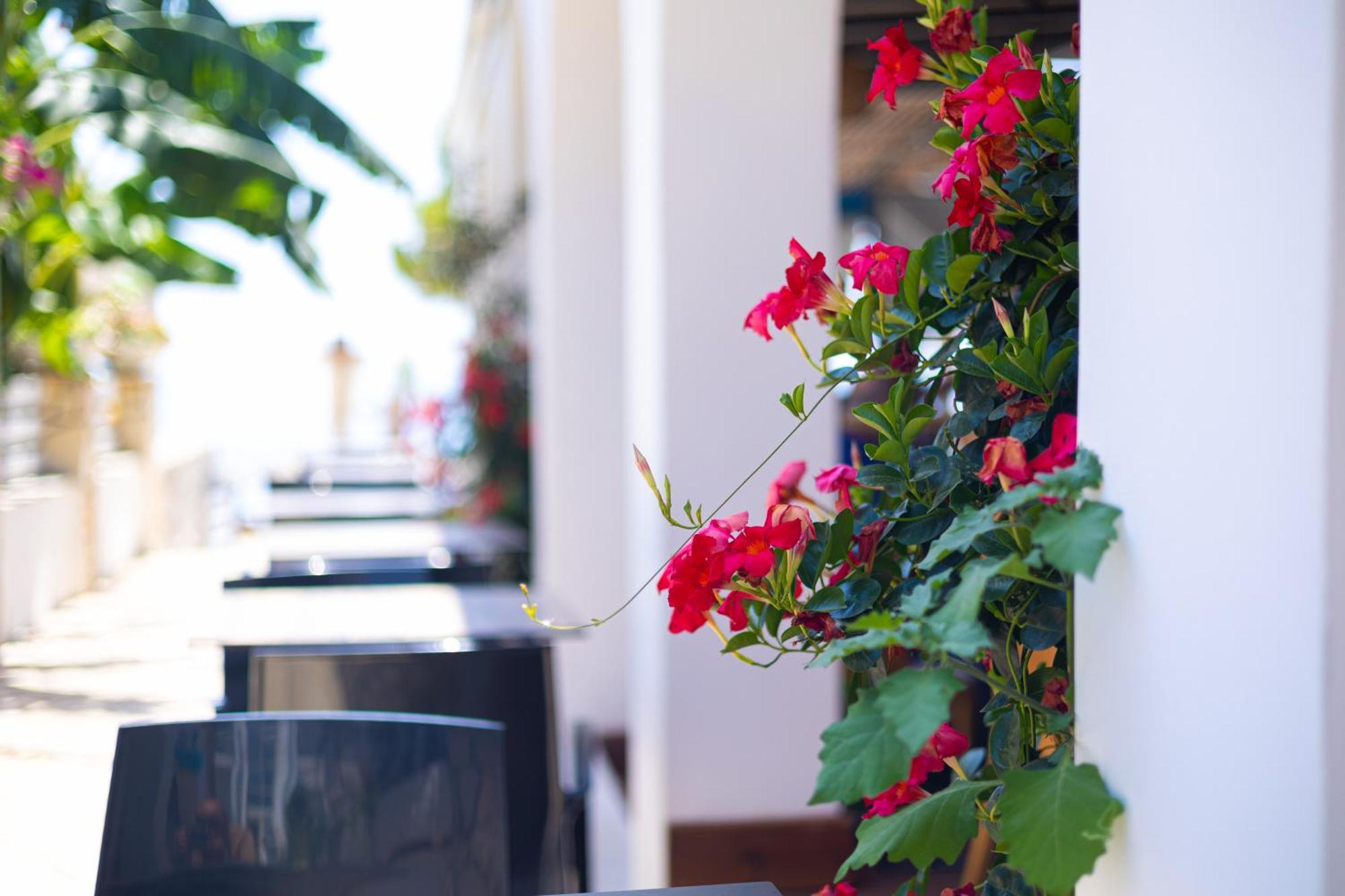 Hotel Royal Blue Dhërmi